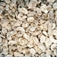 Champignon